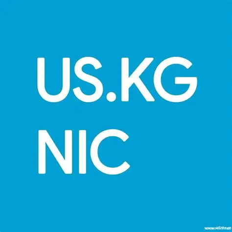 Dndns.org 免费域名开放注册，us.kg老用户也有福利-魔方小站