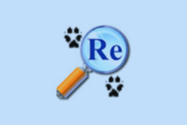 VFP反编译软件 ReFox XI Plus v11.54.2008.522 注册版-魔方小站