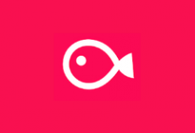 VLLO v12.14.2 视频编辑器 解锁付费版全能剪辑工具-魔方小站