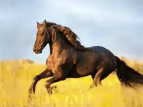 YourTV 你的电视TV v2.1.6-魔方小站