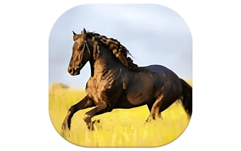 YourTV 你的电视TV v2.0.4 清爽版-魔方小站