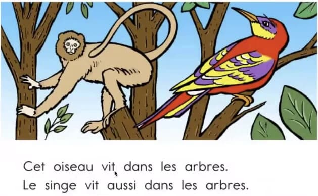 顶点教育｜少儿法语课 French for youth-魔方小站