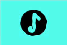 Salt Player (椒盐音乐) v11.0.4 诚信解锁Pro版｜本地音乐播放器-魔方小站