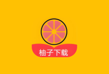 柚子下载 v1.5.6 高级版｜全能无广告下载神器-魔方小站