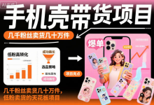 手机壳带货项目实操指南,低粉账号卖出几十万件-魔方小站