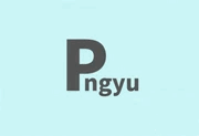 Pngyu v1.0.5 中文绿色版｜PNG 图像批量压缩工具-魔方小站