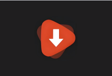 WDownloader v1.6.29 解锁高级版｜手机端视频下载工具-魔方小站