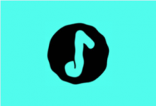 Salt Player 椒盐音乐 v11.1.0 无广告纯净版｜本地音乐播放器-魔方小站