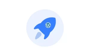 WordPress 优化插件 WPOPT v2.5.8 官方正式版-魔方小站